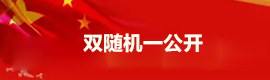 雙隨機、一公開